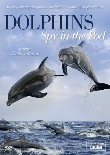 Дельфины скрытой камерой (фильм 2014) смотреть онлайн