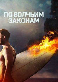 По волчьим законам (сериал 5 сезон)