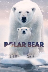 Полярный медведь (фильм 2022)