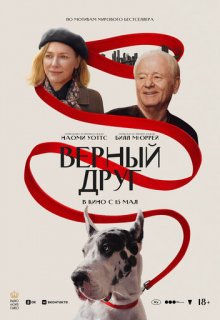  ( 2024)