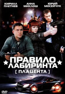  :  ( 2009)