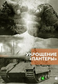Укрощение «Пантеры» (сериал 2025)