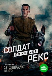 ������ �� ������ ���� (������ 2026)